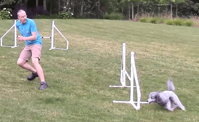 agilityflow#5IceWrap